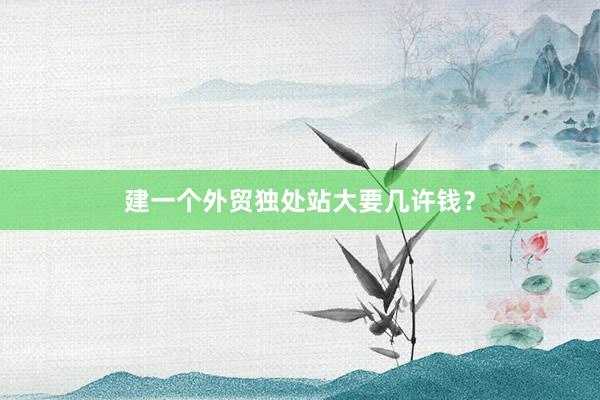 建一个外贸独处站大要几许钱？